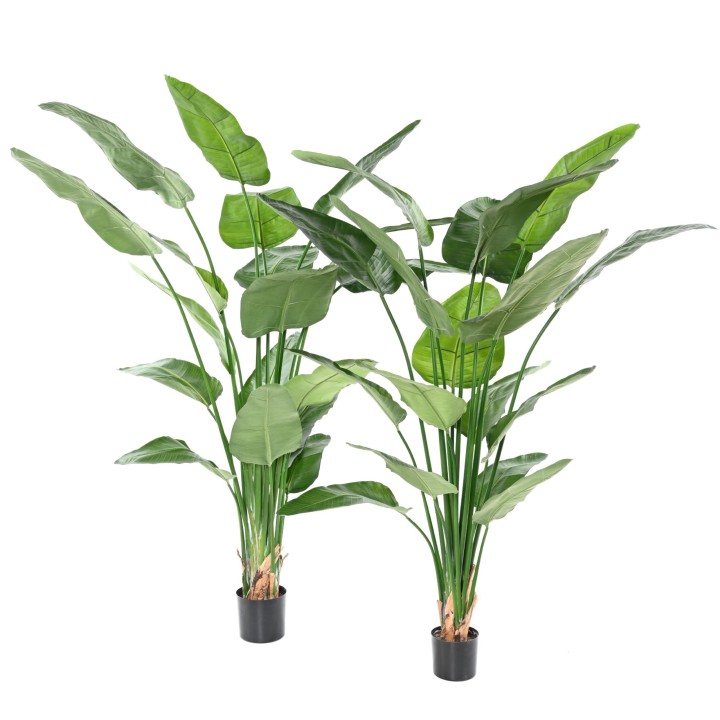 Künstliche Strelitzia Nicolai, ca. 185cm, grün