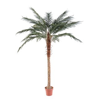 Künstliche Phoenix-Palme, ca. 210cm, grün