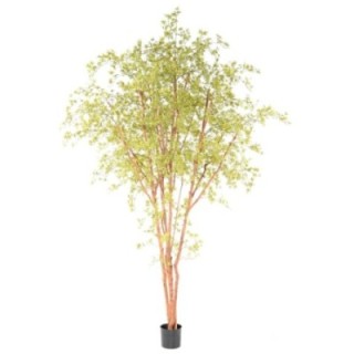 Künstlicher Aralia Baum, ca 340cm - UV-Beständig, grün