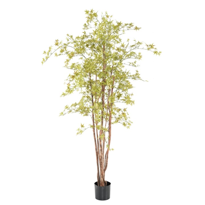 Künstlicher Aralia Baum, ca 210cm - UV-Beständig, hellgrün