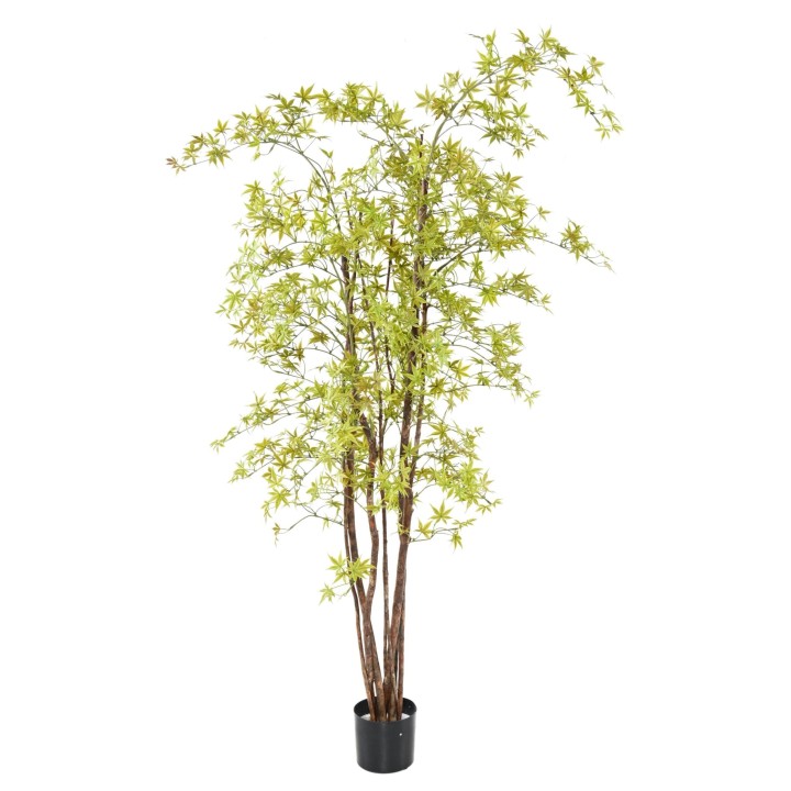 Künstliche Aralia, ca 180cm - UV-Beständig, hellgrün