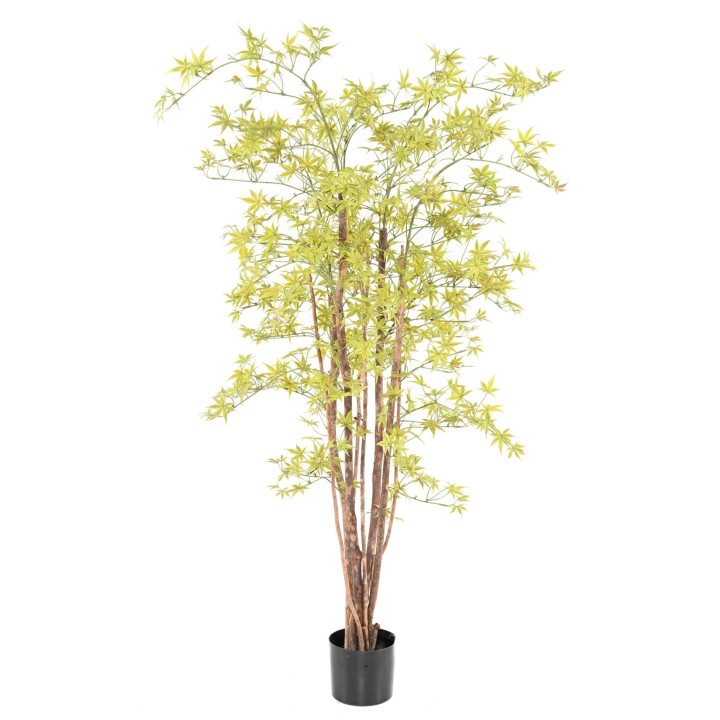 Künstliche Aralia, ca 160cm - UV-Beständig, hellgrün
