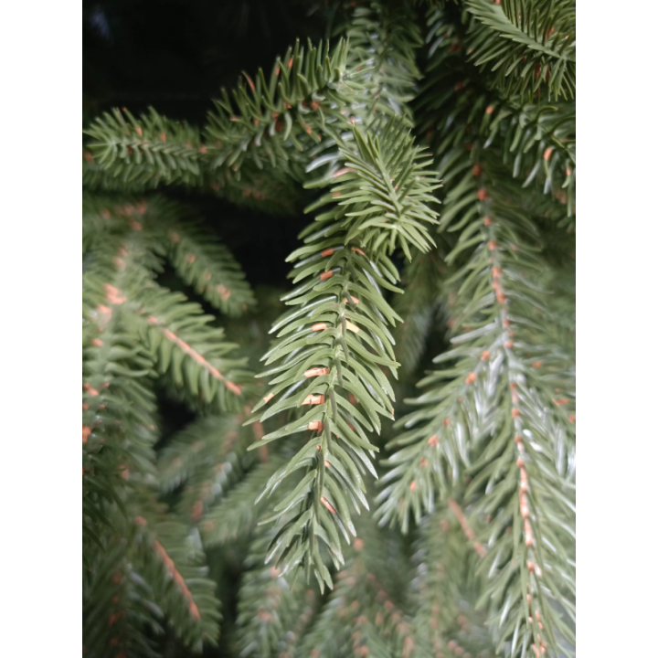 Künstliche Große Küstentanne PE/PVC, ca. 170cm