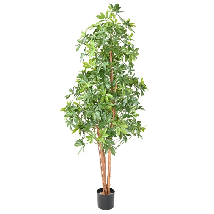 Künstlicher Choisya Baum, ca 180cm - UV-beständig, grün