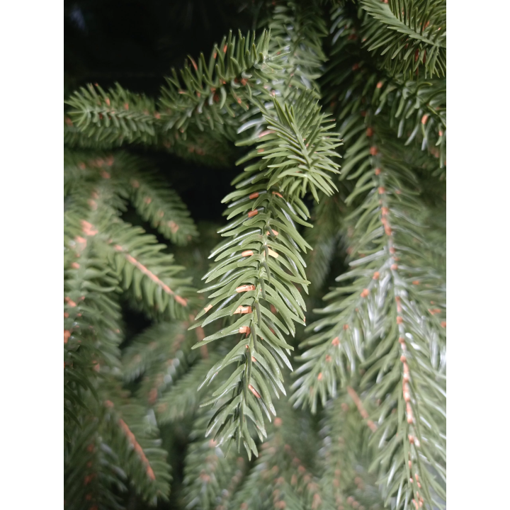 Künstliche Große Küstentanne PE/PVC, ca. 210cm