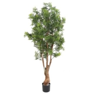 Künstliche Aralia Ming Nitida, ca 170cm - UV-Beständig, grün