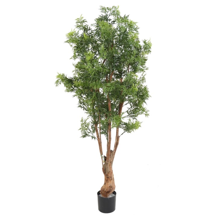 Künstliche Aralia Ming Nitida, ca 170cm - UV-Beständig, grün
