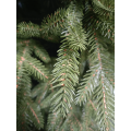 Künstliche Große Küstentanne PE/PVC, ca. 120cm
