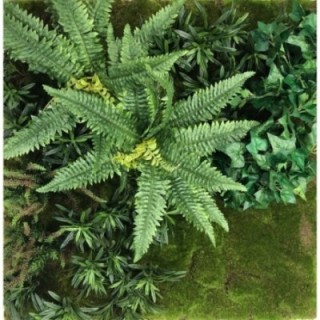 Pflanzenwand | Modell C1 (Indiv. Anfertigung auf Bestellung! Kombination mit C2 und C3 möglich)