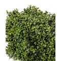 Künstliche Buchsbaumhecke 100x20x25 cm UV