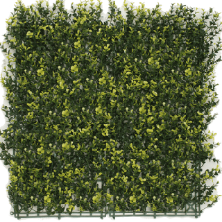 Kunsthecken-Paneel | Buxus gelb 50x50 cm UV