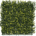 Kunsthecken-Paneel | Buxus gelb 50x50 cm UV