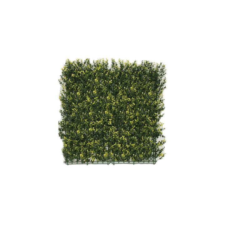 Kunsthecken-Paneel | Buxus gelb 50x50 cm UV