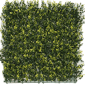 Kunsthecken-Paneel | Buxus gelb 50x50 cm UV