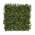 Kunsthecken-Paneel | Buxus gelb 50x50 cm UV