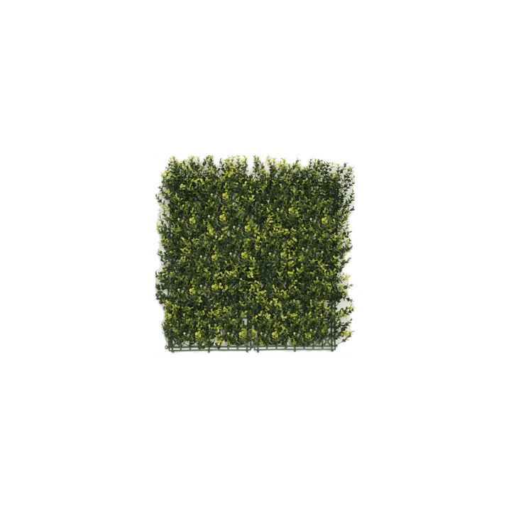 Kunsthecken-Paneel | Buxus gelb 50x50 cm UV