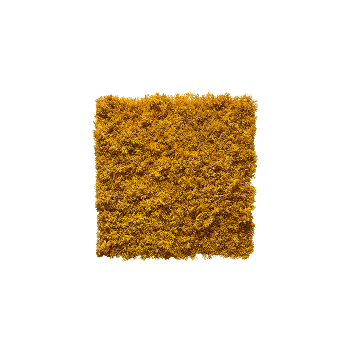 Kunsthecken-Paneel | Moos Gelb 50x50cm - schwer entflammbar RF2/B1