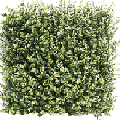Kunsthecken-Paneel | Buxus beige 50x50 cm UV