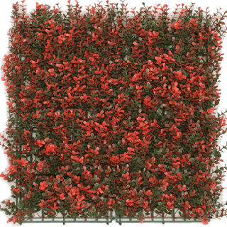 Kunsthecken-Paneel | Buxus rot 50x50 cm UV