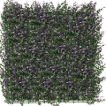 Kunsthecken-Paneel | Buxus lila 50x50 cm UV