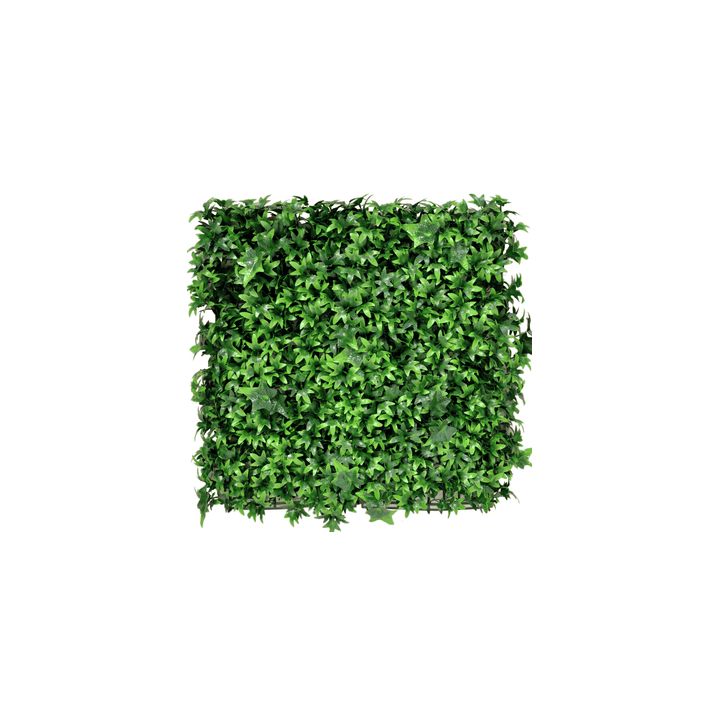 Kunsthecken-Paneel | Efeu 50x50 cm UV