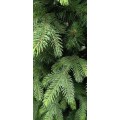 Künstliche Orientfichte PE/PVC, ca. 150cm