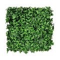 Kunsthecken-Paneel | Efeu 50x50 cm UV
