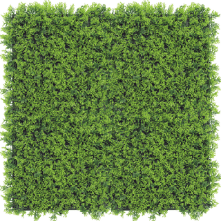 Kunsthecken-Paneel | Cupressus 50x50 cm UV