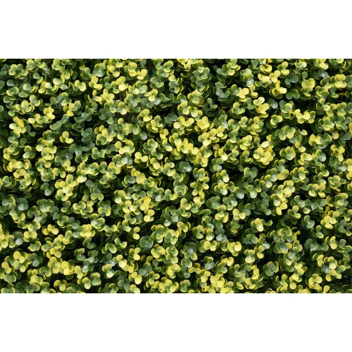 Kunsthecken-Paneel | Lina Buxus - 100x100cm