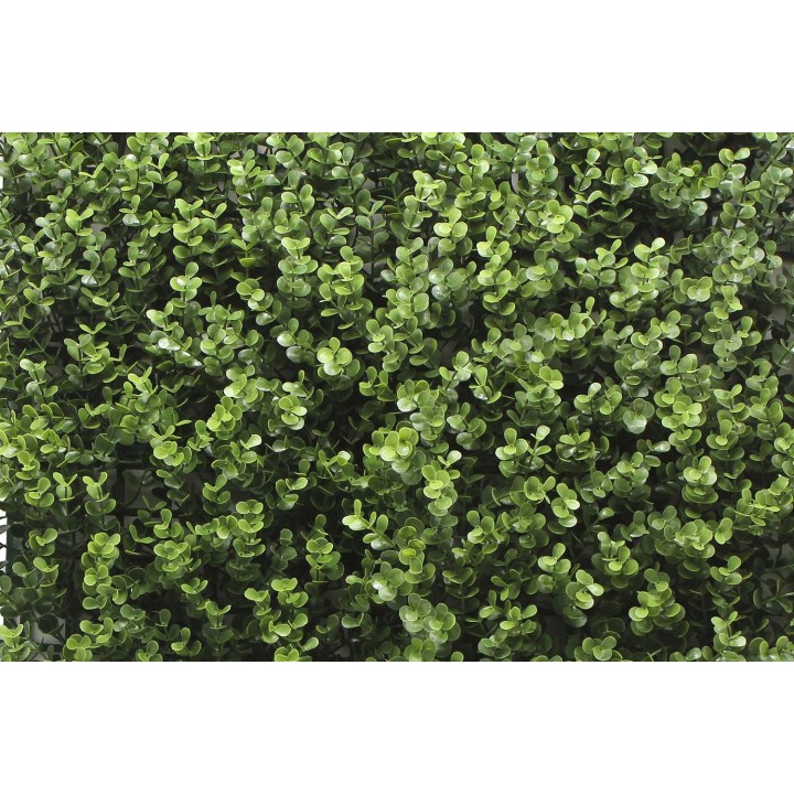 Kunsthecken-Paneel | Leah Buxus - 100x100cm