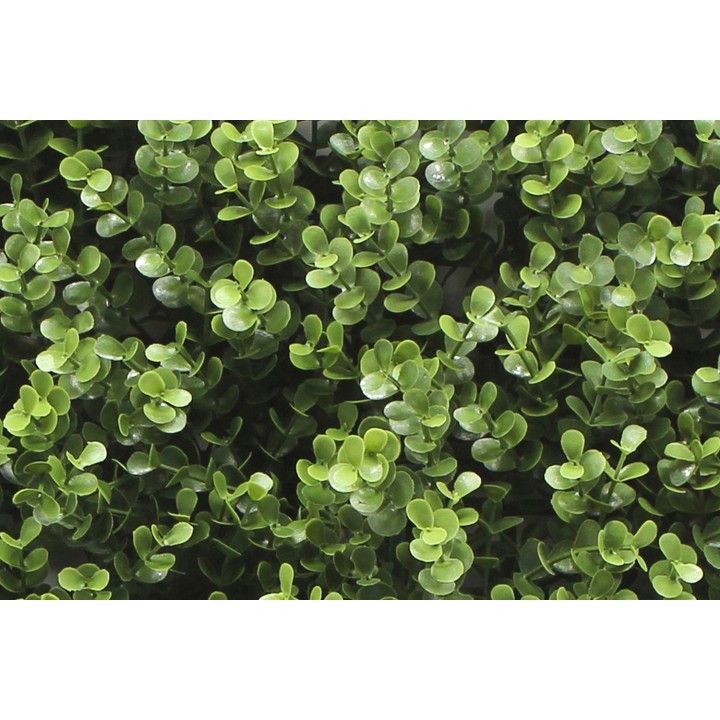 Kunsthecken-Paneel | Leah Buxus - 100x100cm