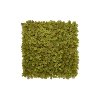 Kunsthecken-Paneel | Kate Moos - 100x100cm