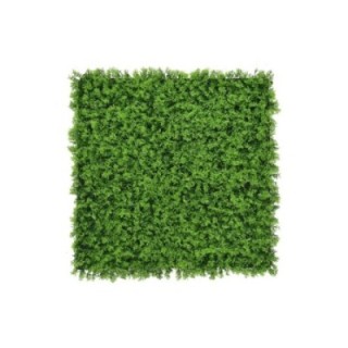 Charlotte Zypresse - 100x100cm