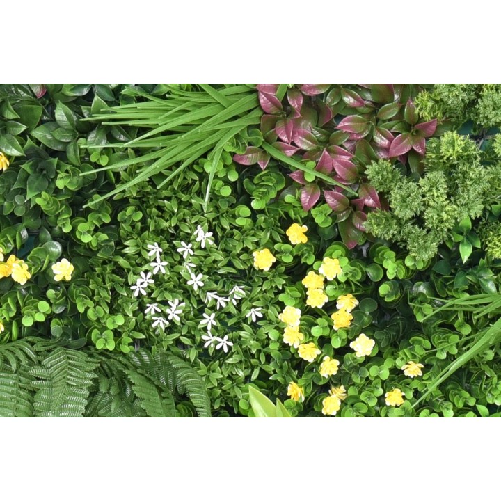 Ava Wonder - 100x100cm