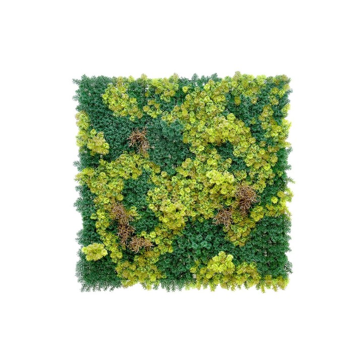 Abbey Moos - 100x100cm