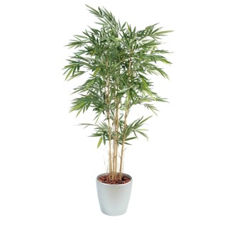 Arrangement Bambus im runden Pflanzgefäss