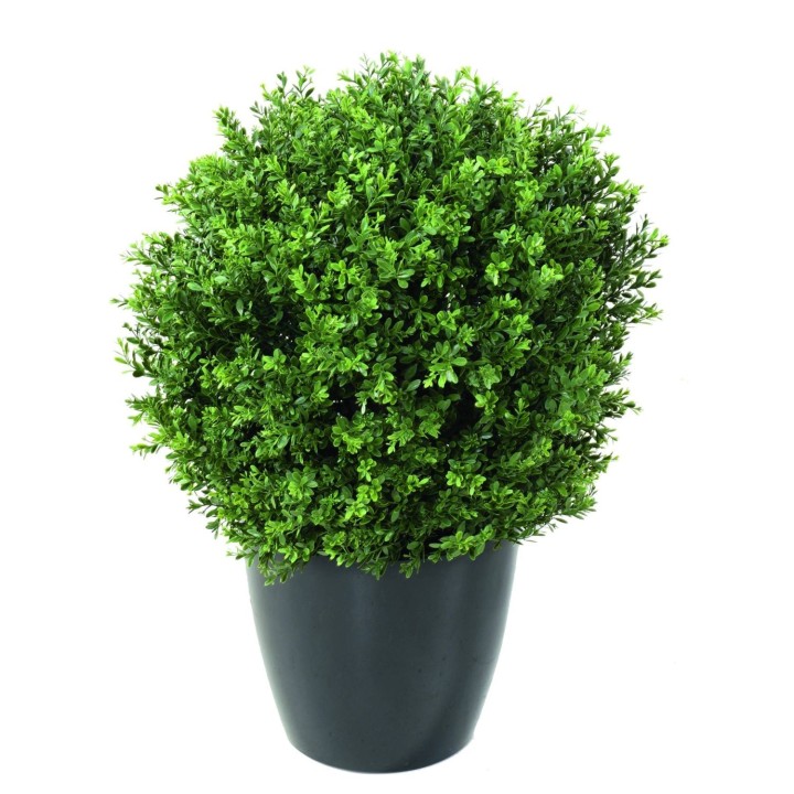 Arrangement Buchsbaum Kugel Red Day UV im Pflanzgefäss