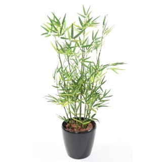 Arrangement Bambus im runden Pflanzgefäss