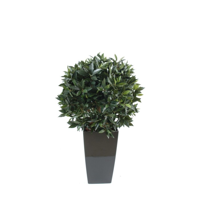 Arrangement Lorbeer Kugel Ø60 im quadratischen Pflanzgefäss