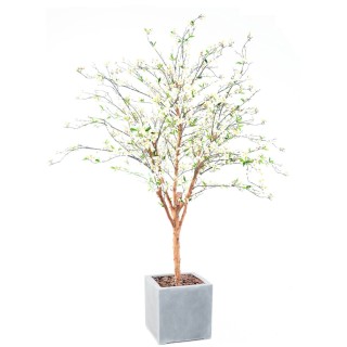 Arrangement Kirschbluetenbaum gross im Pflanzgefäss