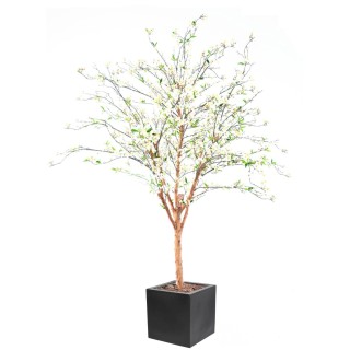 Arrangement Kirschbluetenbaum gross im Pflanzgefäss