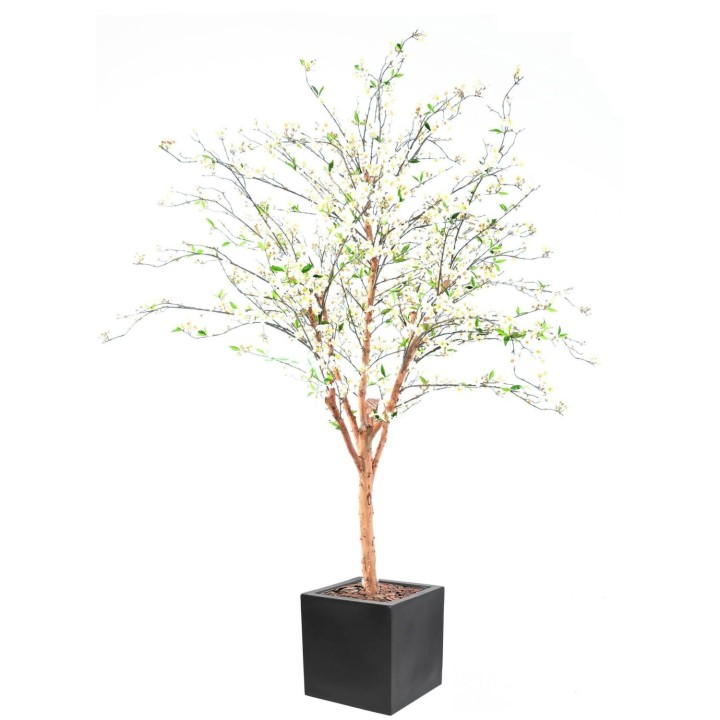 Arrangement Kirschbluetenbaum gross im Pflanzgefäss