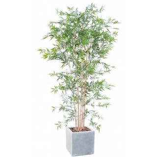 Arrangement Japanischer Bambus UV im quadratischen Pflanzgefäss