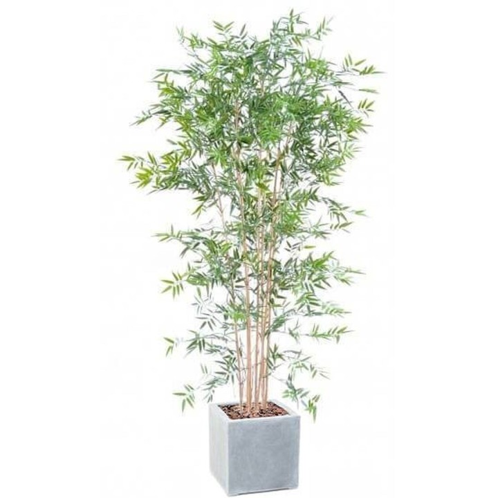 Arrangement Japanischer Bambus UV im quadratischen Pflanzgefäss