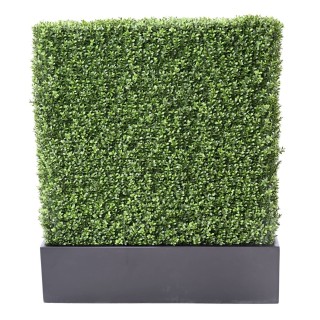 Arrangement Buchsbaumhecke im Balkonpflanzgefäss