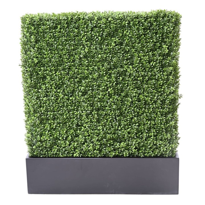 Arrangement Buchsbaumhecke im Balkonpflanzgefäss