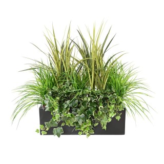 Arrangement Ziergras im Balkonpflanzgefäss