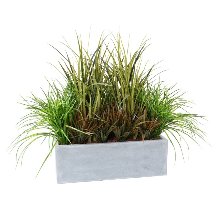 Arrangement Ziergras im Balkonpflanzgefäss