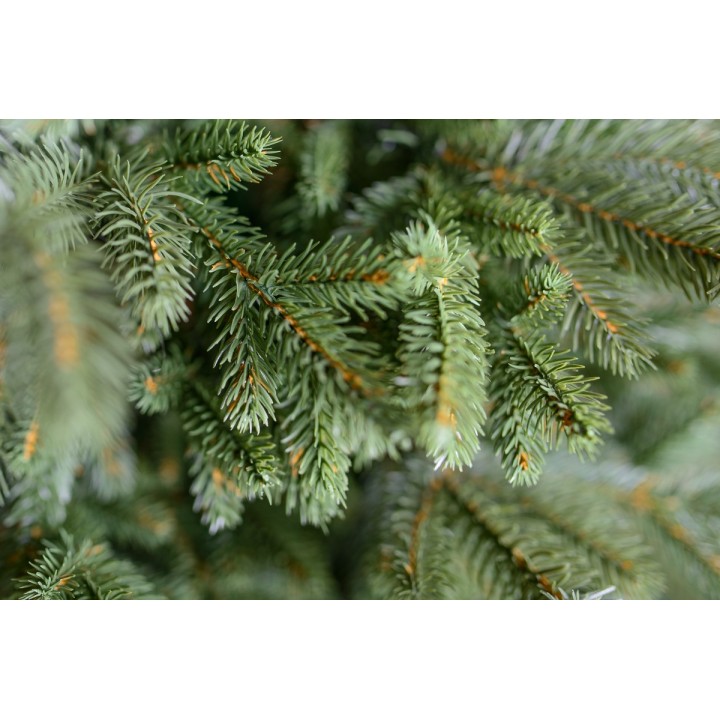 Spritzguss Nobilis Edeltanne, ca. 240cm