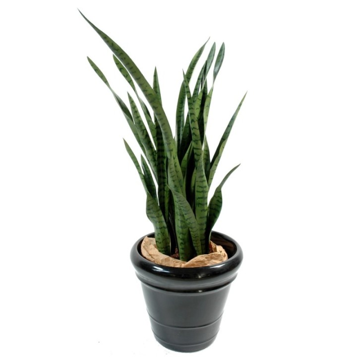 Künstliche Sansevieria, 110cm hoch, pflegeleicht und grün